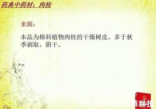 桂枝|桂附地黄丸和金匮肾气丸各自的功效有什么不同？