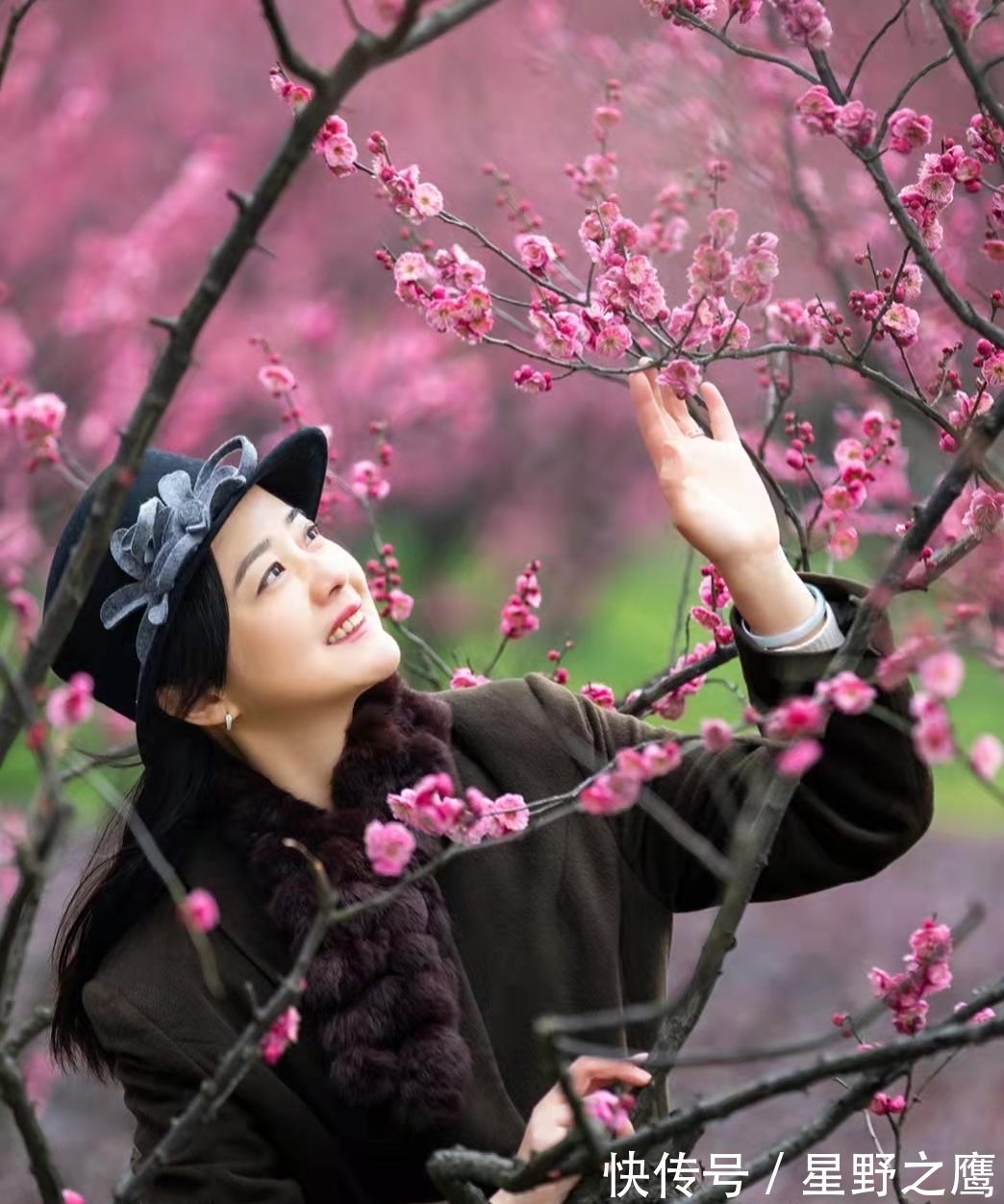 百味人生$七言格律:已将夙愿酬新月,妙有真空没齿嵌