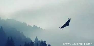 小儿子|孔子:路宽不如心宽,命好不如心好