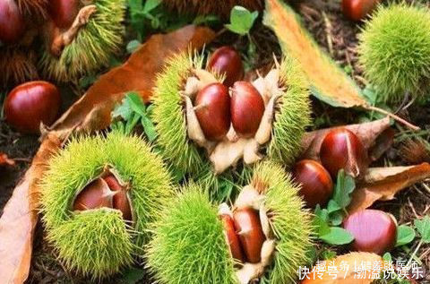 女人愛美要會吃,推薦3種食物每天吃一些,排毒養(yǎng)顏,好處多多