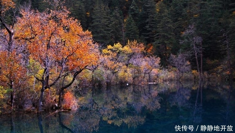 九寨沟|九寨沟最美的季节 你一定要去看一看