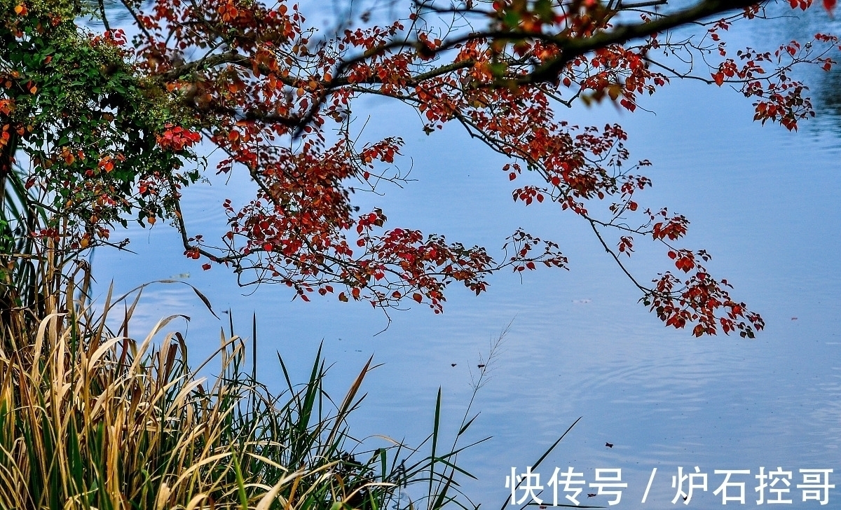 词人$诗词丨宋词的秋,惊艳四季:澄江似练,翠峰如簇,归帆去棹残阳里