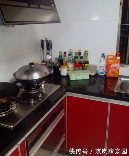 做法|去闺蜜家发现,厨房没有一个塑料袋,做法真高级,拍给大家瞧瞧