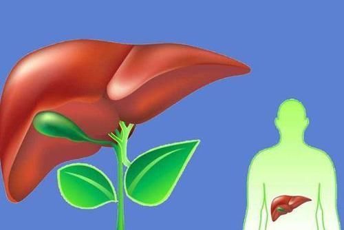 冰箱不是万能保鲜箱，里面的三种食物最好不要吃，快告诉家人