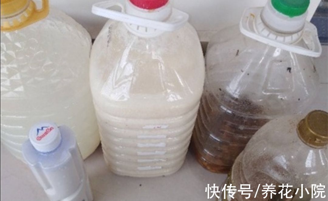 有机肥|花肥不用买,这些东西做成“花肥”,养什么花都长得旺