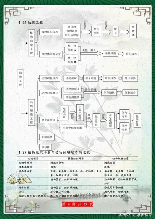 高考729分美女学霸：把高中生物“浓缩”成39张图，3年最低不下95