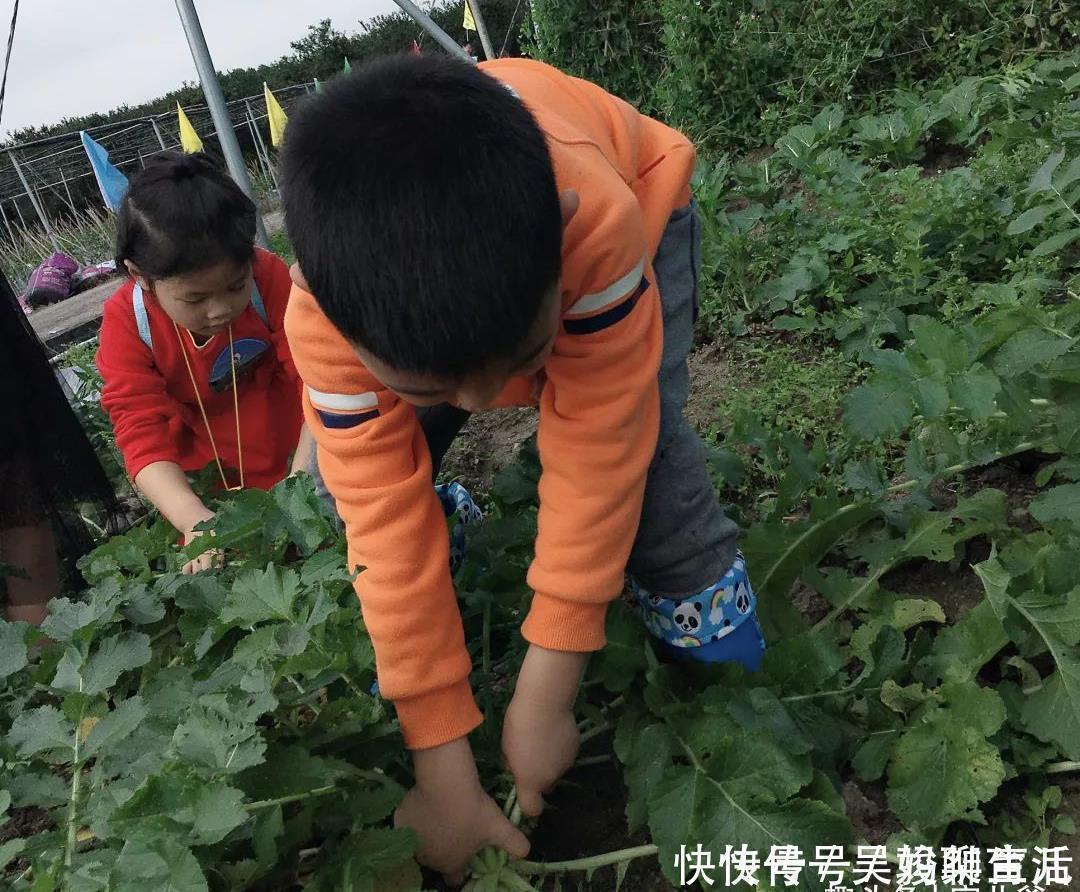 富贵命|这些决定了孩子是不是“富贵命”,有的话,父母以后就有福了!