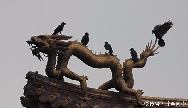 大喊|故宫开门前,为何都要大喊几声?溥仪给出说法,专家:赞同