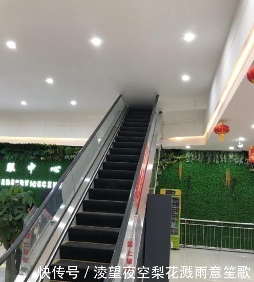 gt小长假不看点沙雕图怎么过!这世上竟有如此沙雕的手办!