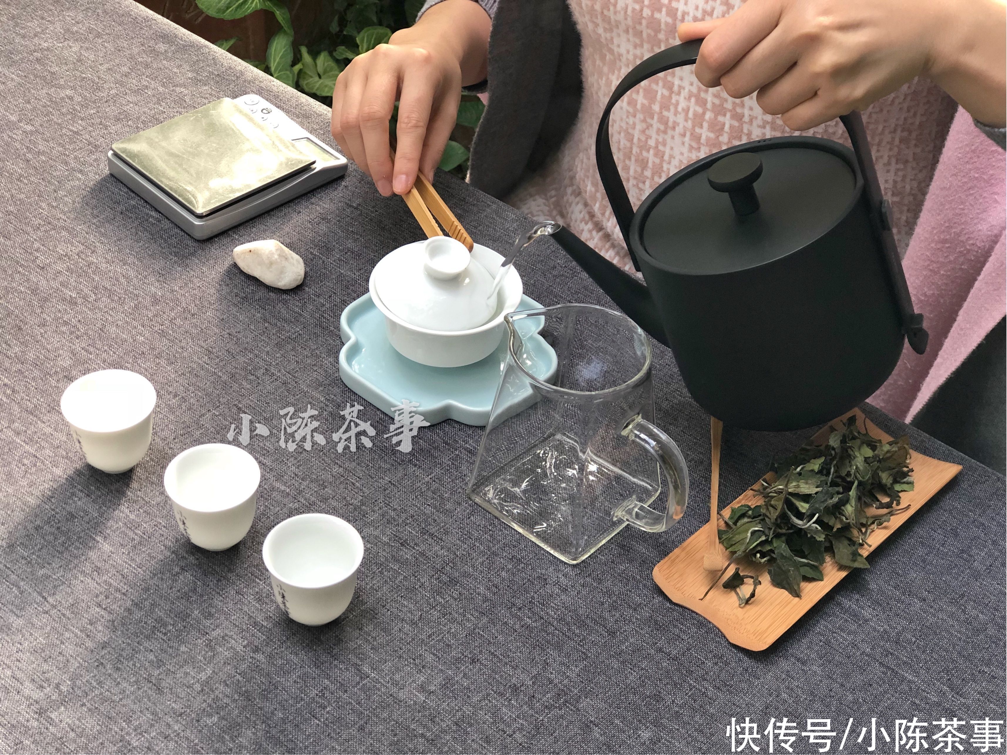 茶饼|从撬白茶饼到冲泡，村姑陈手把手教学示范，收藏了