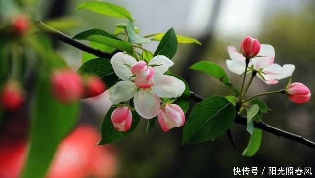 为人处世|真正厉害的人,为人处世,往往能做到这四点!