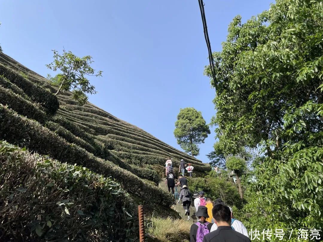 无路变大道，众星照天亮