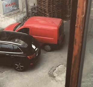 |搞笑GIF趣图当我拿到这一副牌,我顿时就知道怎么玩了!