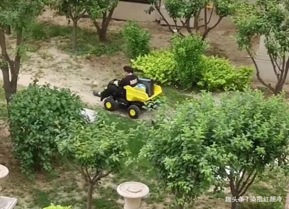 行李箱|奶爸载着行李箱带娃“离家出走”火了,网友车已买好,娃哪里领