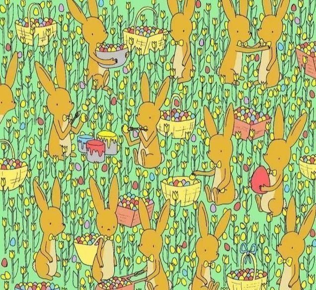 挑战|挑战你的视觉他画了一组插画,上万人参与,只有几个人发现不同
