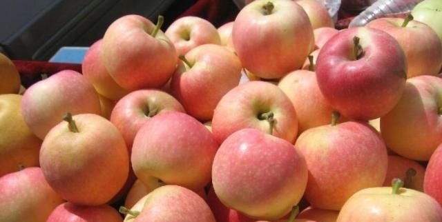 发育不良|怀孕后,这4样水果再贵都要吃,对胎儿眼睛好,比吃保健品管用