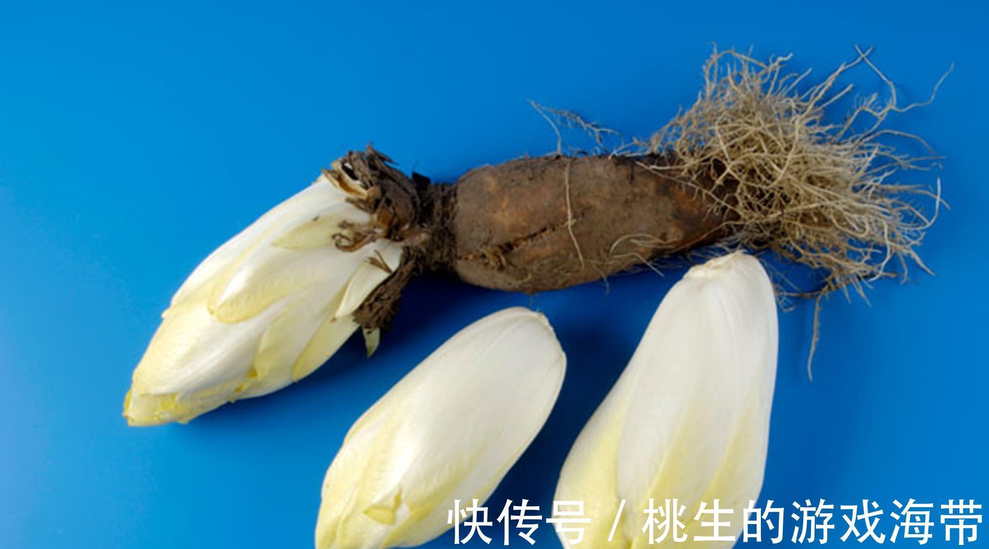 蒲公英|蔬菜嘌呤低?非也,“四种蔬菜”劝你拉黑,当心尿酸节节高