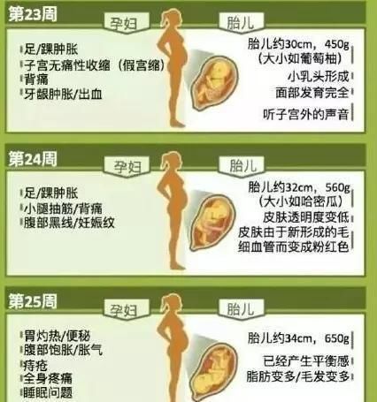 肚子|有的人怀孕6个月之后,肚子长的很快,为什么?
