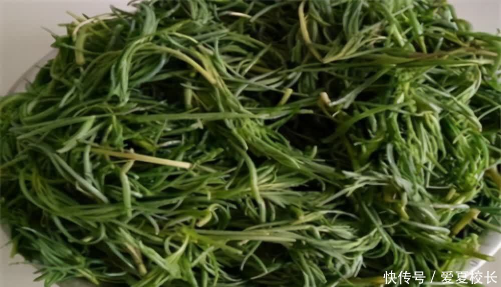 食物|夏天来了,女性多吃3种食物,刮油减脂,营养瘦身,越吃越苗条