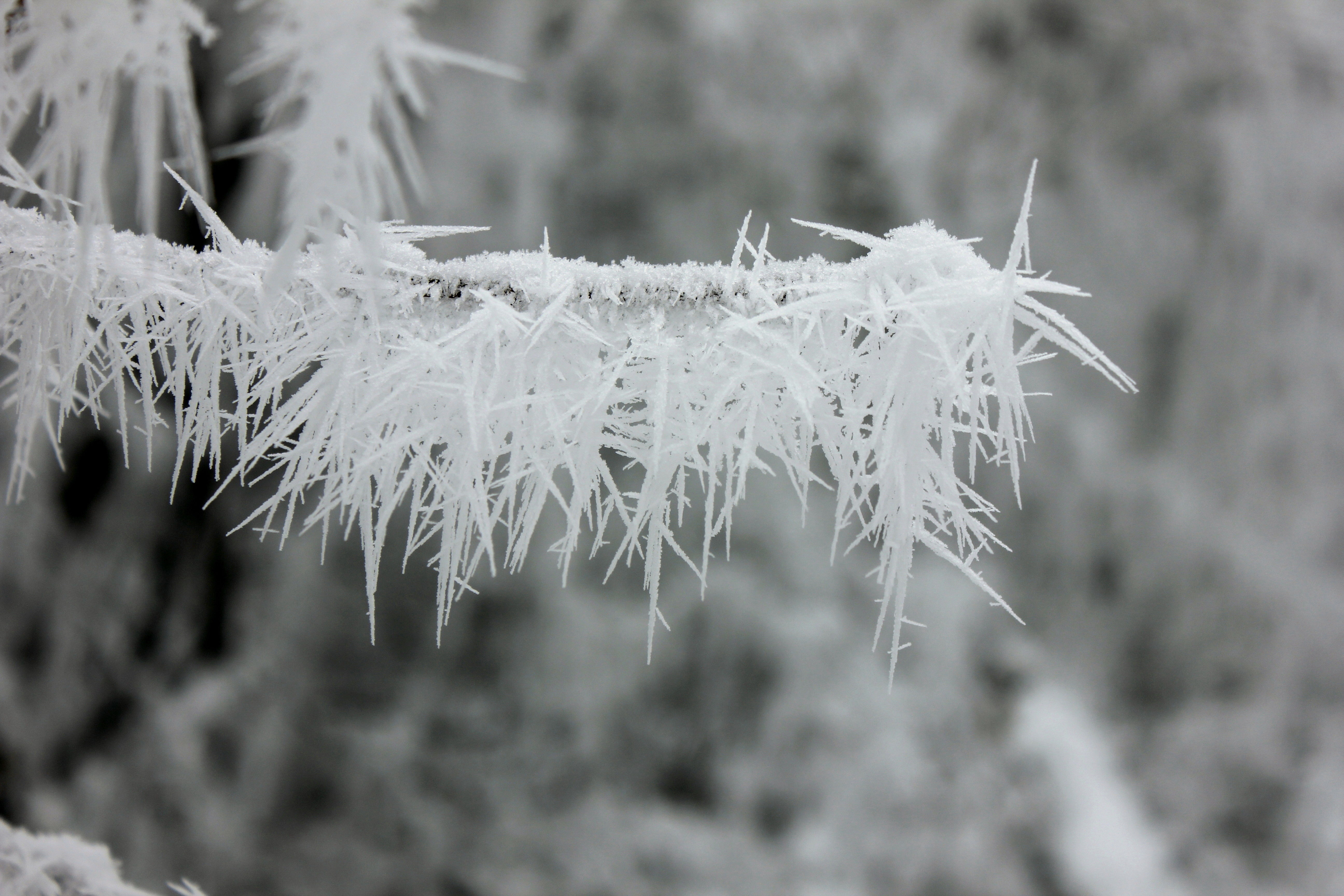 征集|【年末福利征集】雪后南五台幸遇云海