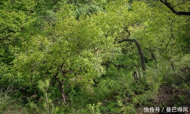 甘泉县|中国的羚羊峡谷，景色不输美国甚至更加美了，一定要来看一下