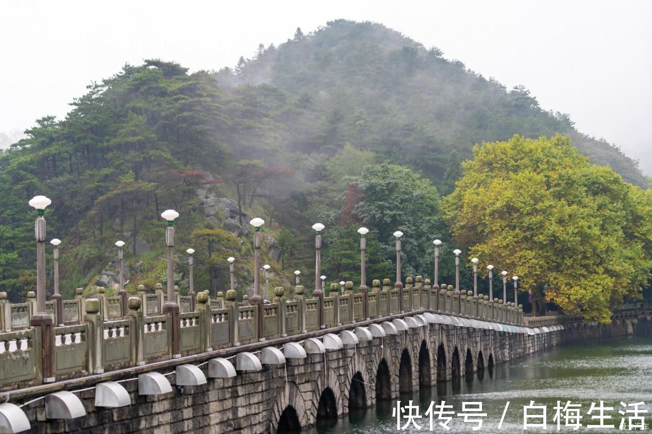 牯岭镇|大美庐山一个千古有名的风景胜地，壮丽的风光无不让人赞叹