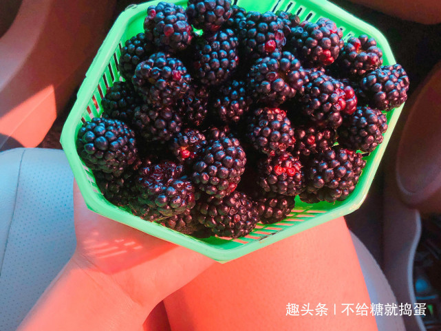 黄金期|早上是减肥“黄金期”,多吃四种水果,比跑一场马拉松还管用