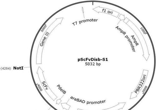 高血脂|血脂疫苗正式启用了,每年只需注射2次,哪些人适合打呢?