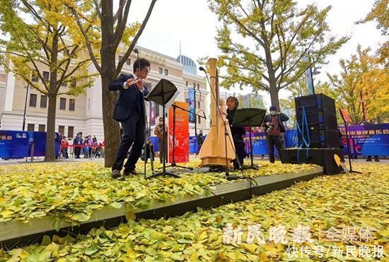  冬日|一首冬日序曲一幅城市美景 一年一度的“银杏音乐会”今天举行