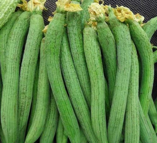 维生素c|“激活”胰岛素的6种食物，没事敞开吃，有助血糖慢慢降下来