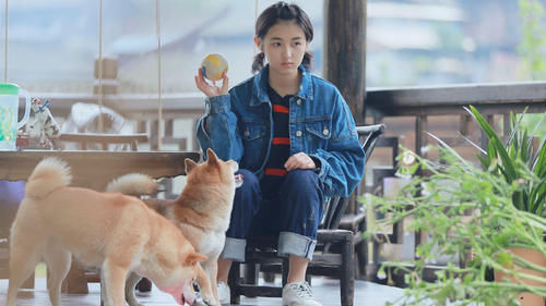 《向往的生活》导演访谈“翻车”?这真的算“厌女”吗?