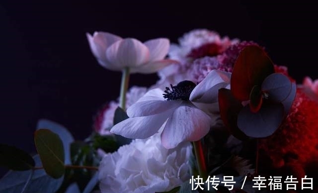 夜未央！散文，如花薰梦