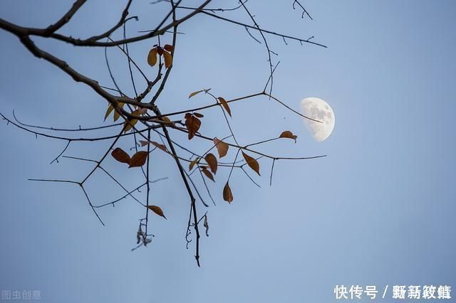 世人|李白一首深情小诗,开篇10字即惊艳世人,但这两个字很多人理解错