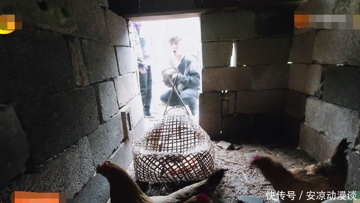 向往5|《向往5》下期:张艺兴去鸡窝掏鸡蛋,“责怪”师父把拖拉机搞坏