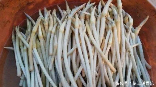 农村6种难得野味,好吃但是难找,全吃过的人不多,你吃过几种