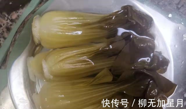 腌酸菜,别直接用盐腌,牢记3点,酸菜又酸又脆,味道正宗不易烂!