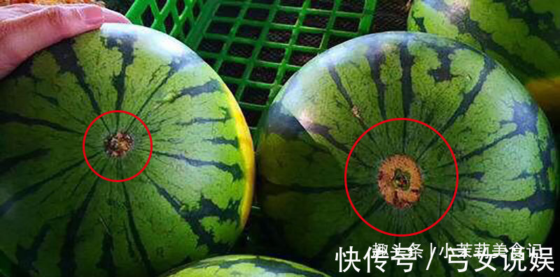 都是西瓜,黄瓤和红瓤有啥不同瓜农差别挺大,买错难吃营养差