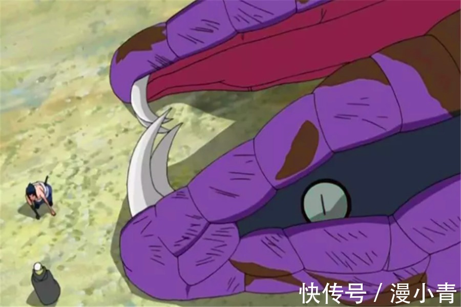 万蛇|火影忍者中混得很惨的通灵兽:蛤蟆忠被迫营业,蛤蟆龙差点被吃掉