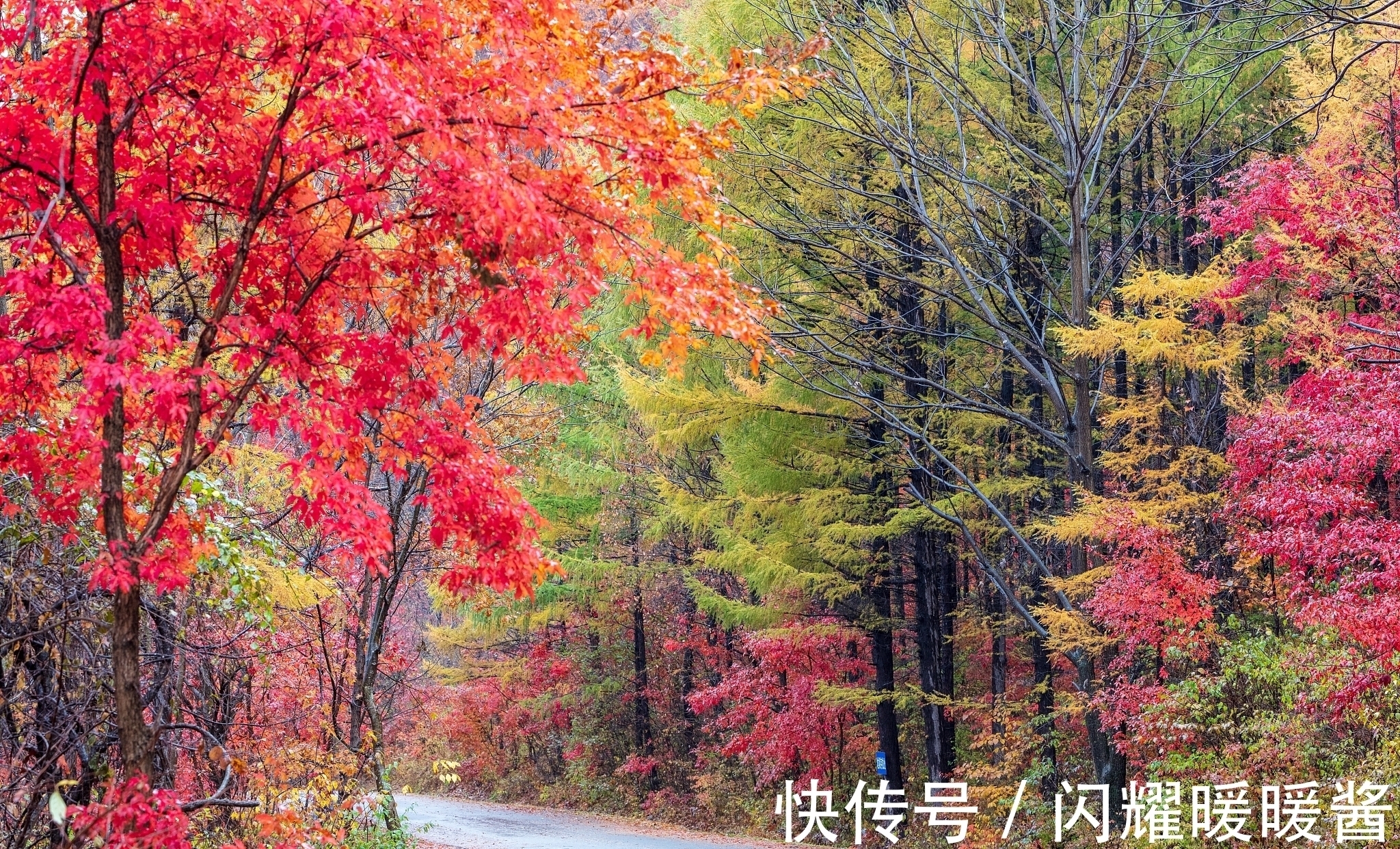 唐朝!寻找秋天最美的诗词,以“秋”为题的诗词排行榜前10名