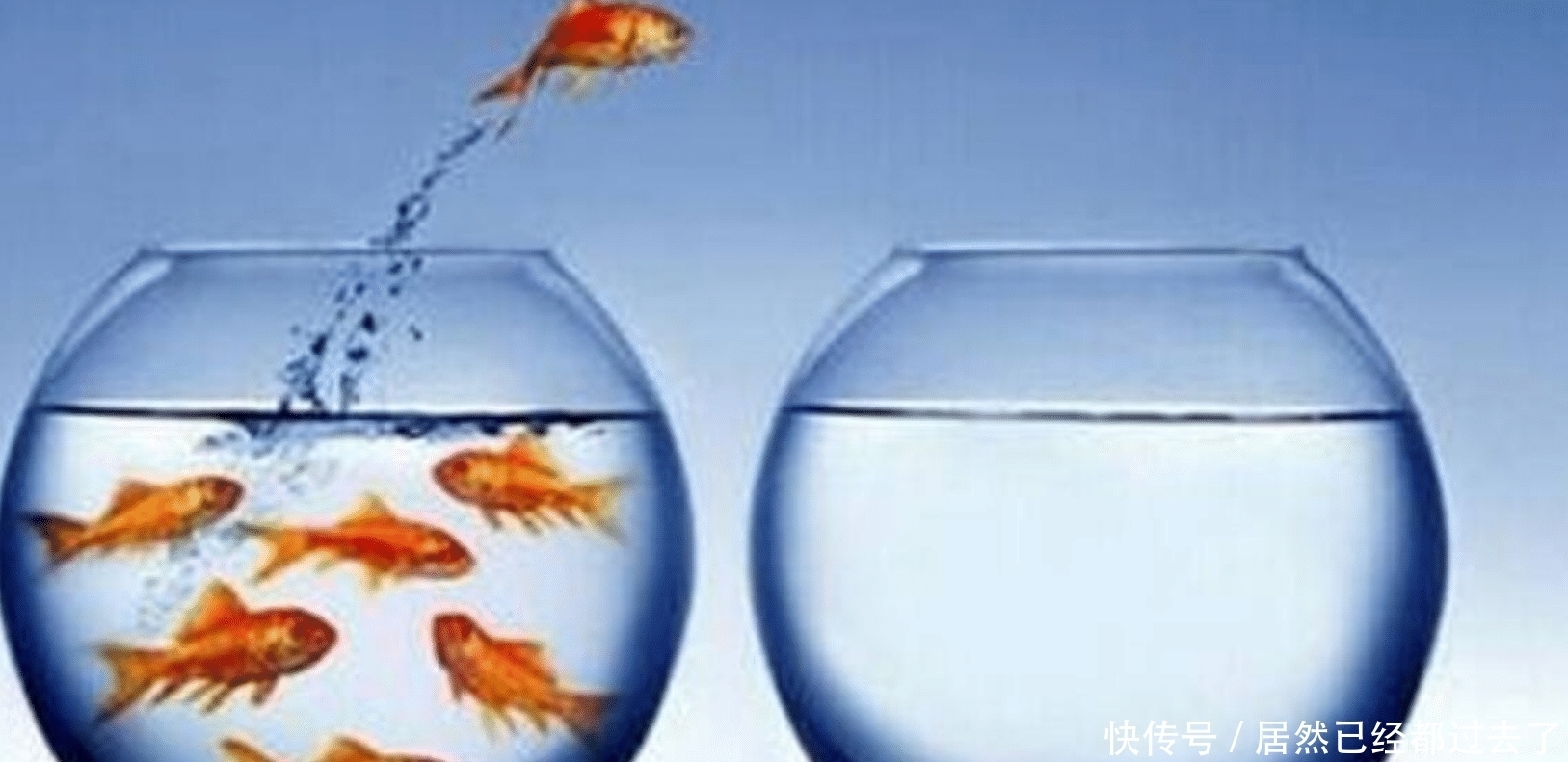 叛逆|还在“鱼缸式养娃”?对孩子约束教育,会让娃越来越叛逆