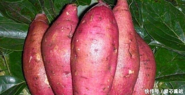 藏在身边的“天然护肝王”,每天吃一点,肝越来越好,肝病不来扰