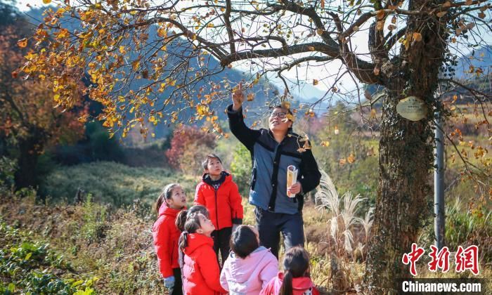 安徽|安徽岳西：大别山“袖珍小学”的“明灯”