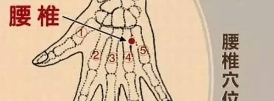 颈椎病|身体有一“治病区”,时常揉一下,疏通经络护腰椎,颈椎病不打扰