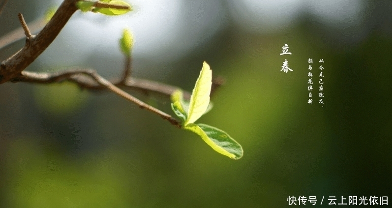 农村俗语“牛年无春,饿断人筋”啥意思?明年收成如何?看完懂了