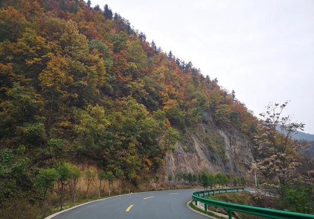  秦岭大山中|秦岭大山里的最美自驾公路，路边全是美景，只是在深山没人知道！