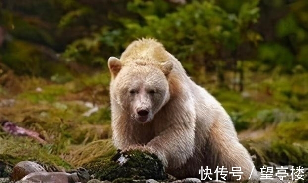 筒装|23冷知识，真实存在于世界，但却没有什么用处