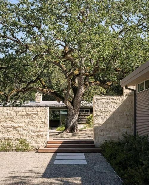 庭院|山中造个别墅,院中百年古树,庭院、壁炉、泳池,奢侈生活美如画