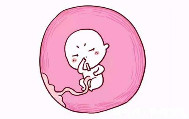 唐氏筛查|这3种看似危险的孕检B超结果,其实多数问题不大,别自己吓自己