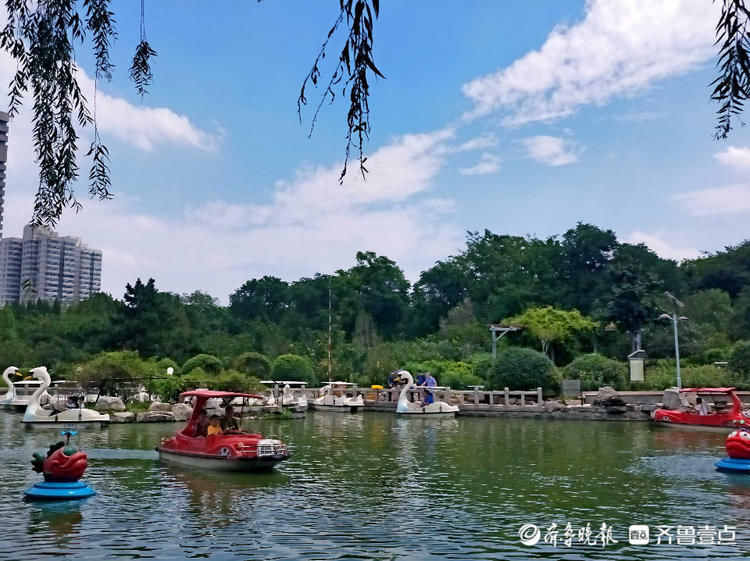 蓝天白云微风爽，荷花灼灼香满塘！济南泉城公园夏景如画|情报站| 齐鲁壹点