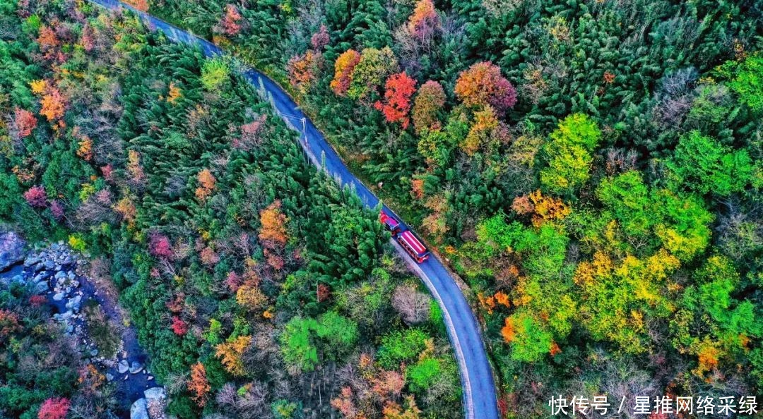 风光|在十一月的大别山里，寻觅色彩斑斓的龙津溪地风光！